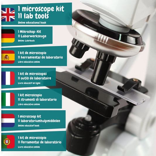 MICROSCOPE promotional game in assorted (detail view) with custom logo branding