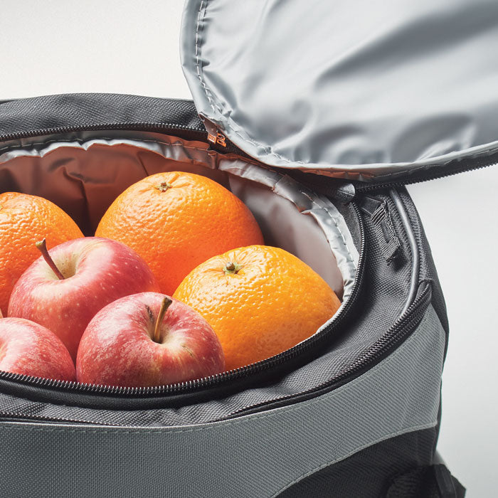 DONAU - Sac isotherme pour barbecue