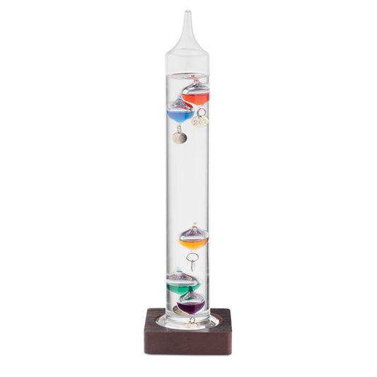 GALI - Termometro Leo in vetro 28cm