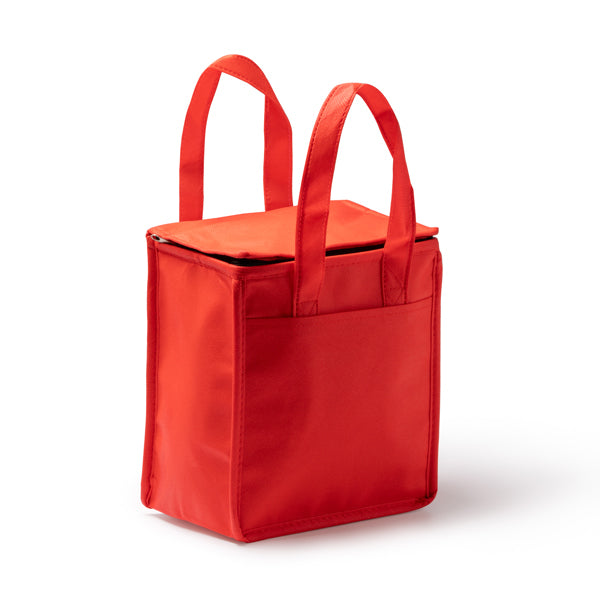 ALAPA - Cooler made of non-woven fabric with large capacity and…