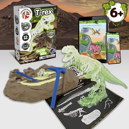 Fossil Excavation Kit I promotional game in assorted (detail view) with custom logo branding