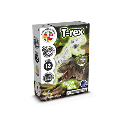 Fossil Excavation Kit I promotional game (complete set view) with custom logo branding