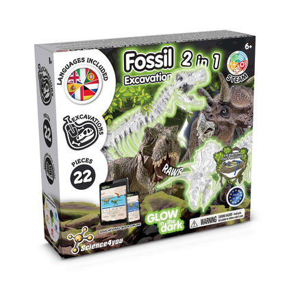 2 in 1 Fossil Excavation Kit I promotional game (complete set view) with custom logo branding