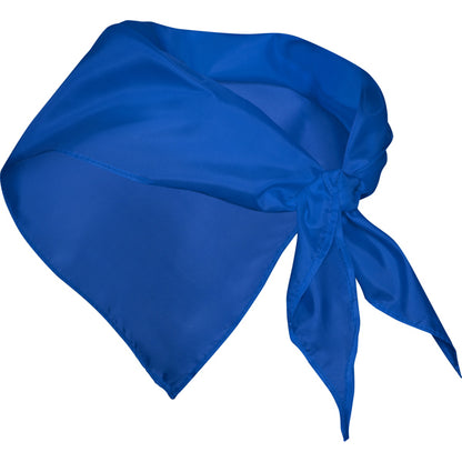 Stamina FESTERO Polyester scarf in royal blue - promotional merchandise printed with your company logo