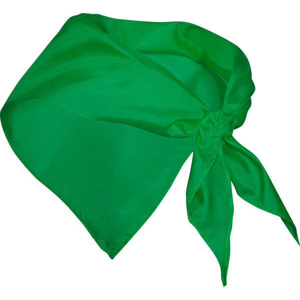 Stamina FESTERO Polyester scarf in fern green - promotional merchandise printed with your company logo