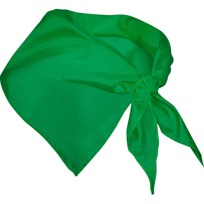 Stamina FESTERO Polyester scarf in fern green - promotional merchandise printed with your company logo