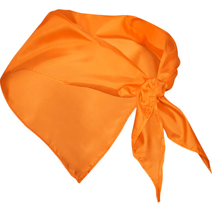 Stamina FESTERO Polyester scarf in orange - promotional merchandise printed with your company logo