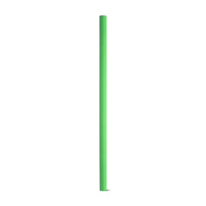 LUCIAN promotional pen in light green with custom logo branding