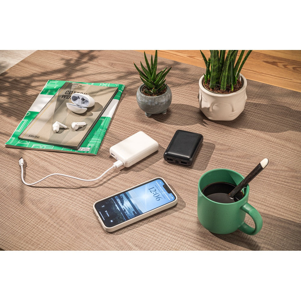 LEAKEY 10 promotional power bank with custom logo branding