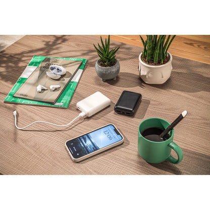 LEAKEY 10 promotional power bank with custom logo branding