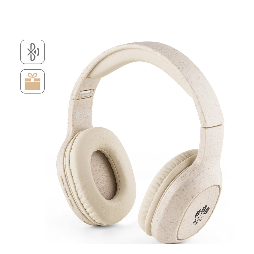 FEYNMAN promotional headphones (complete set view) with custom logo branding