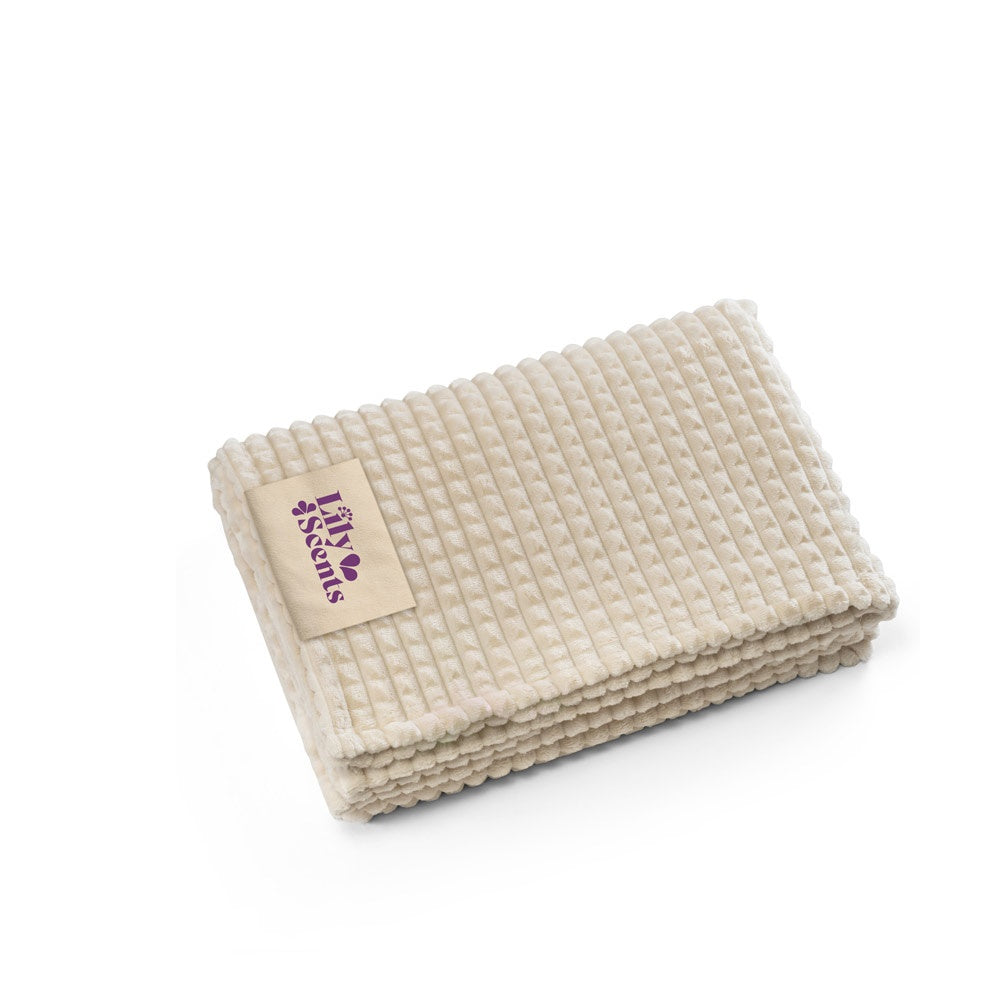 CELINE promotional home textile (complete set view) with custom logo branding