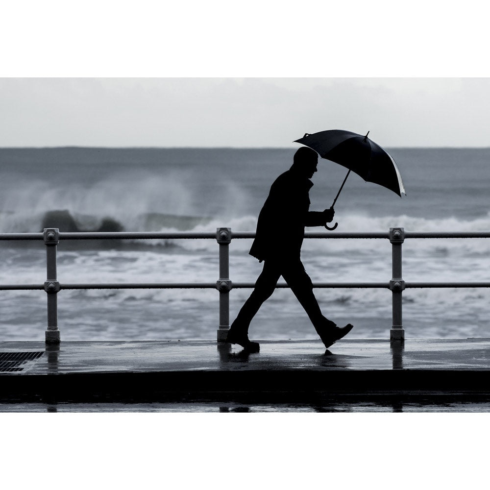 ALBERT promotional umbrella with custom logo branding