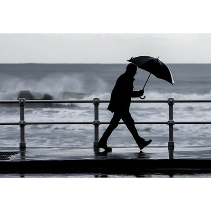 ALBERT promotional umbrella with custom logo branding
