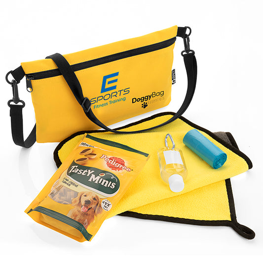 Deluxe Dog Walking Kit | Branded wellness gifts