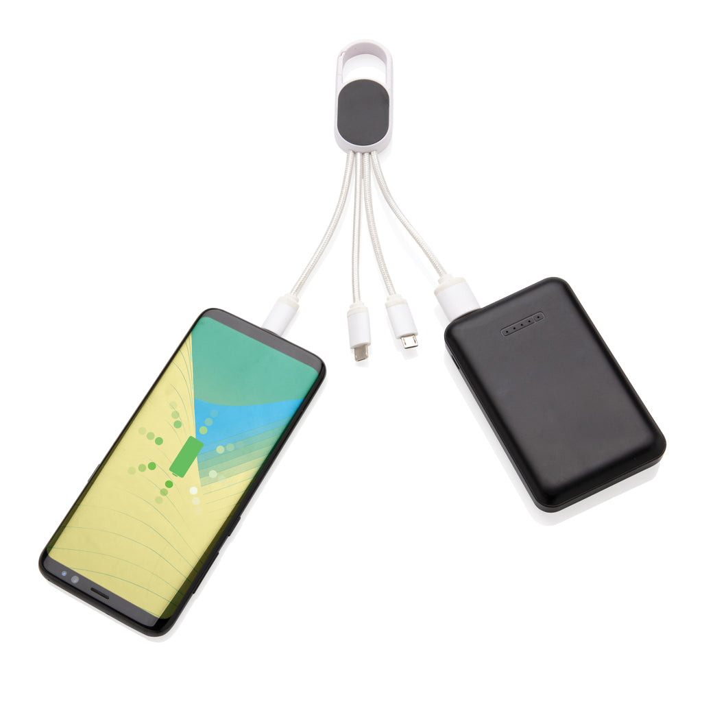 4-in-1 cable with carabiner clip