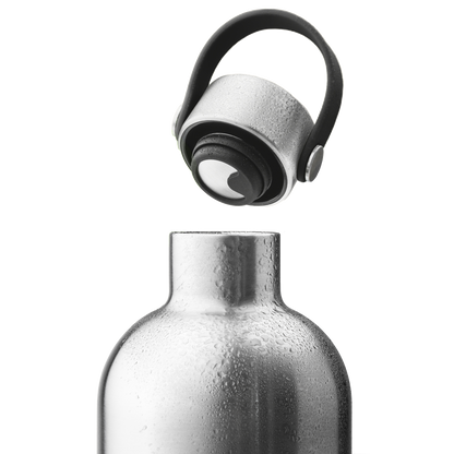 Borraccia in acciaio inossidabile (Ice Silver) – 750 ml
