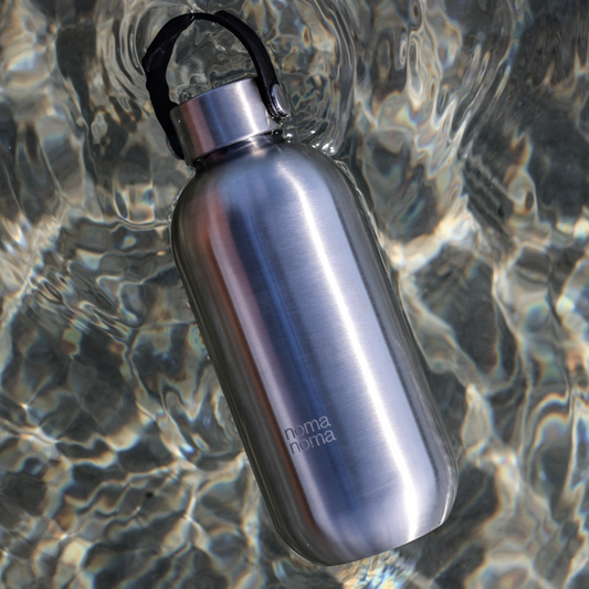 Stainless Steel Drinking Bottle (Ice Silver) – 750ml