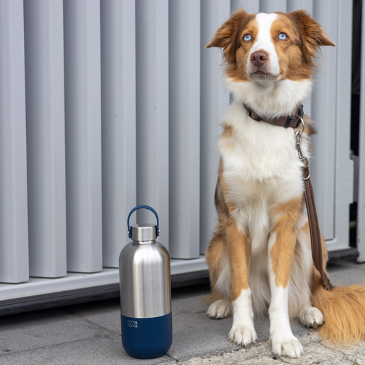 Stainless Steel Drinking Bottle (Soda Blue) – 1000ml