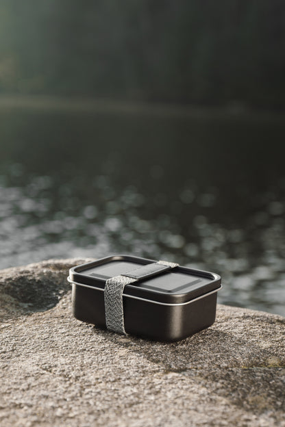 VINGA Parks RCS SS lunch box