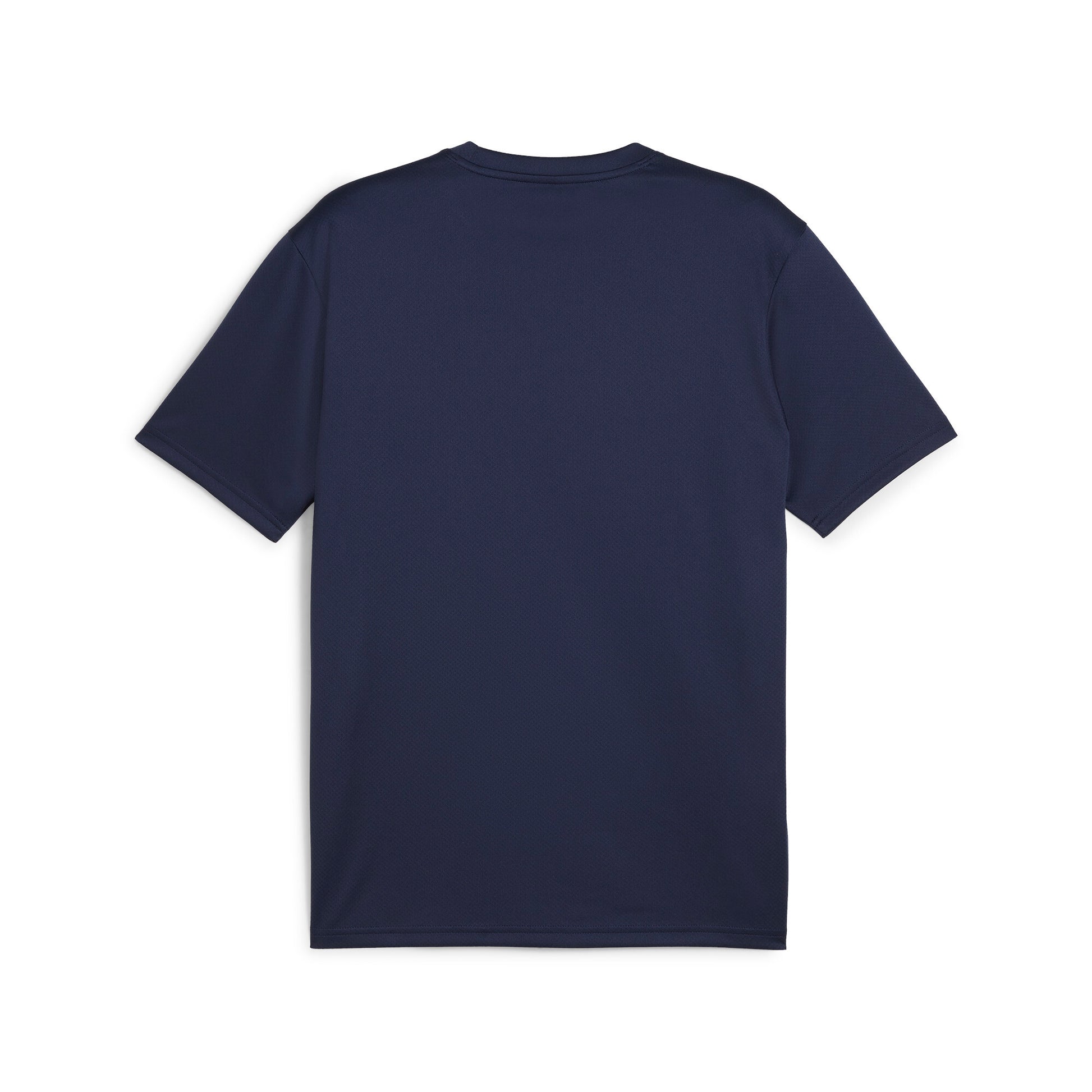 Puma Men's TeamGOAL Football Jersey - Cast Iron