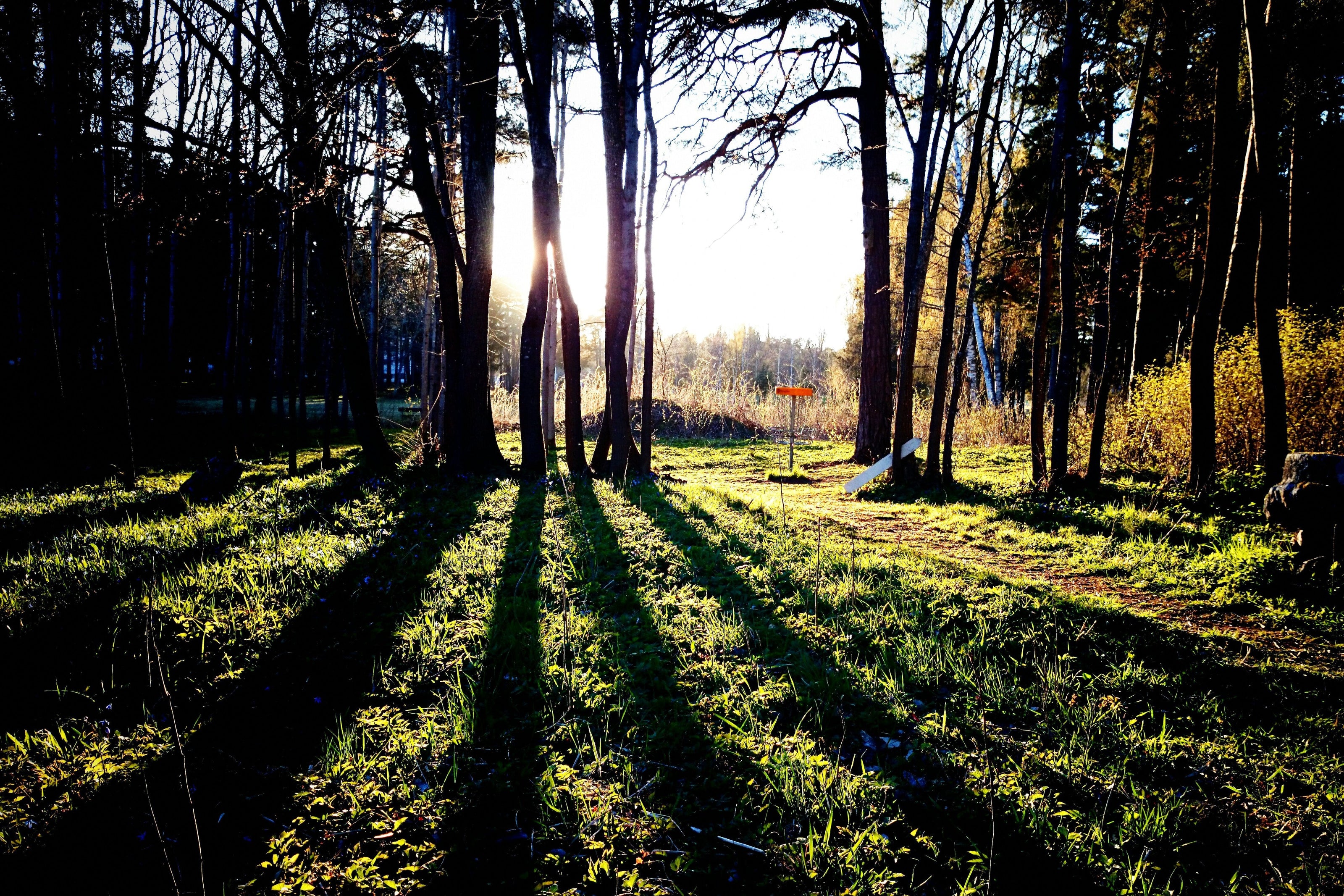 Gävle i Gävleborg – etablerad industriregion där företag satsar på hållbara profilprodukter, företagsgåvor och varumärkesbyggande kampanjer.
