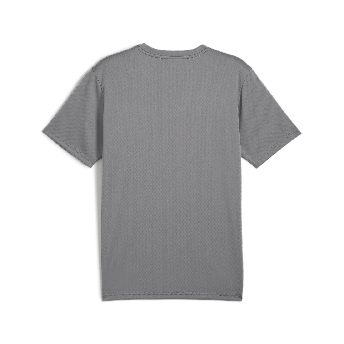 Puma Men's TeamGOAL Football Jersey - Cast Iron