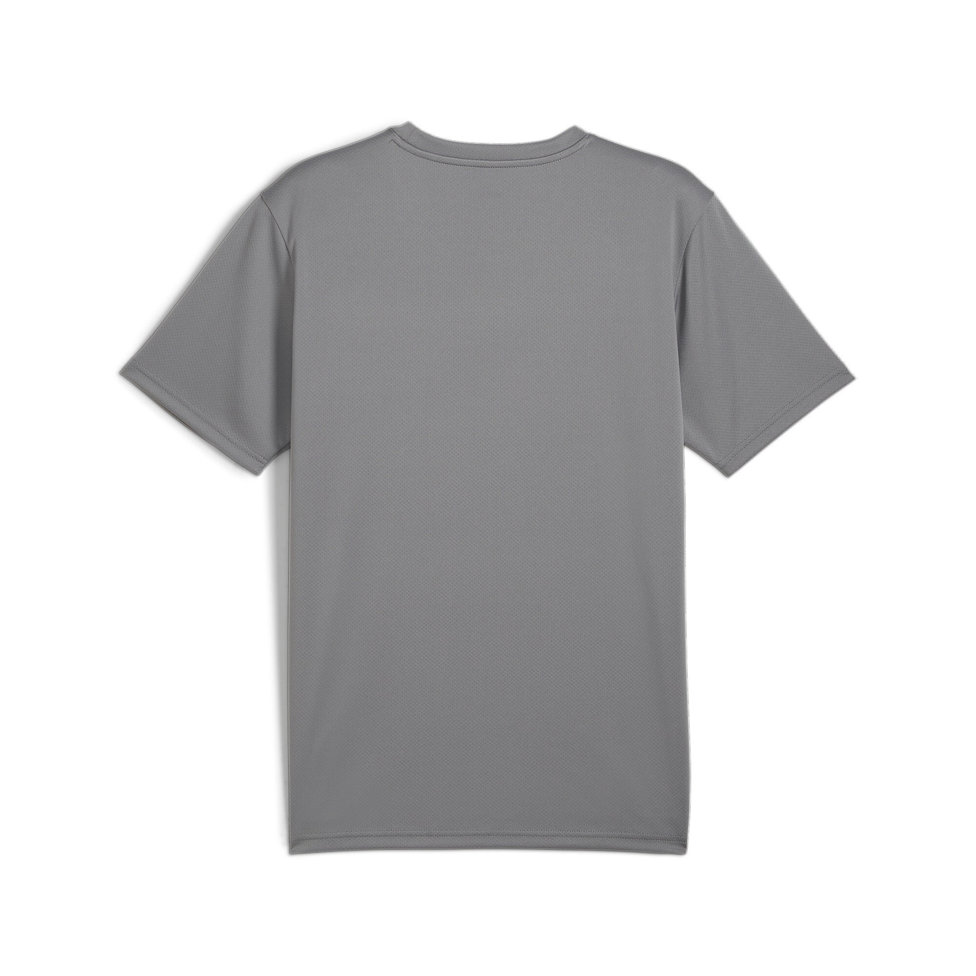 Puma Men's TeamGOAL Football Jersey - Cast Iron