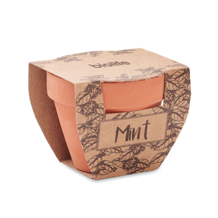 VASO MENTA - Semi di menta in vaso di terracotta