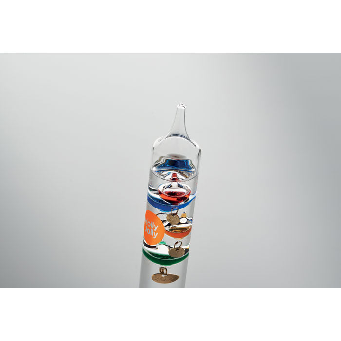 GALI - Thermomètre Lion en verre 28cm