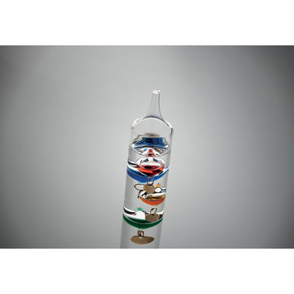 GALI - Thermomètre Lion en verre 28cm