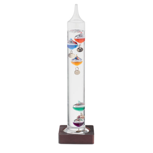 GALI - Leo thermometer glass 28cm