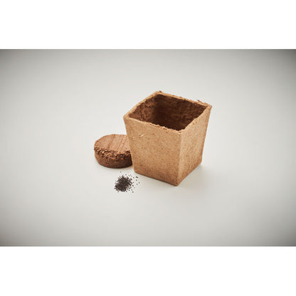 KIT MENTA - Kit per la coltivazione dei semi di menta