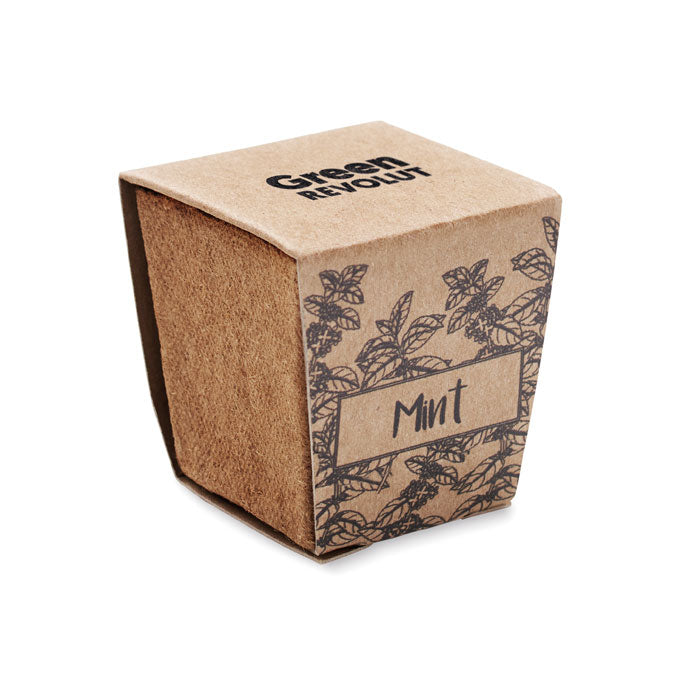 KIT MENTA - Kit per la coltivazione dei semi di menta