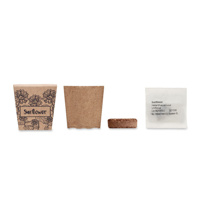 SUNFLOWER KIT - Sunflower growing kit