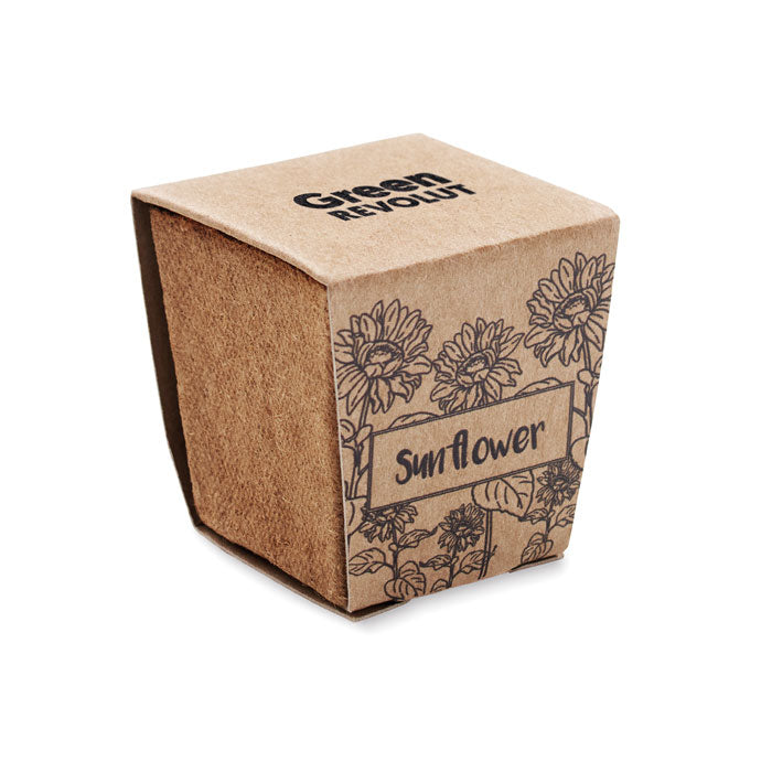 SUNFLOWER KIT - Sunflower growing kit