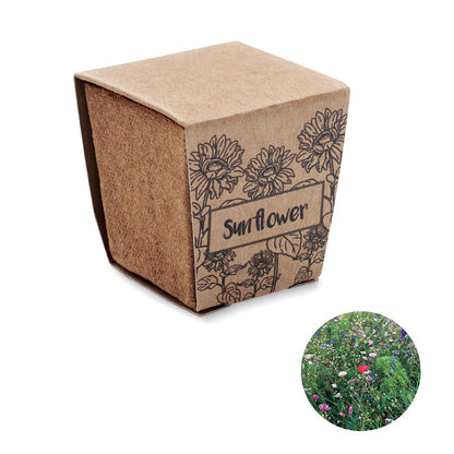 SUNFLOWER KIT - Sunflower growing kit