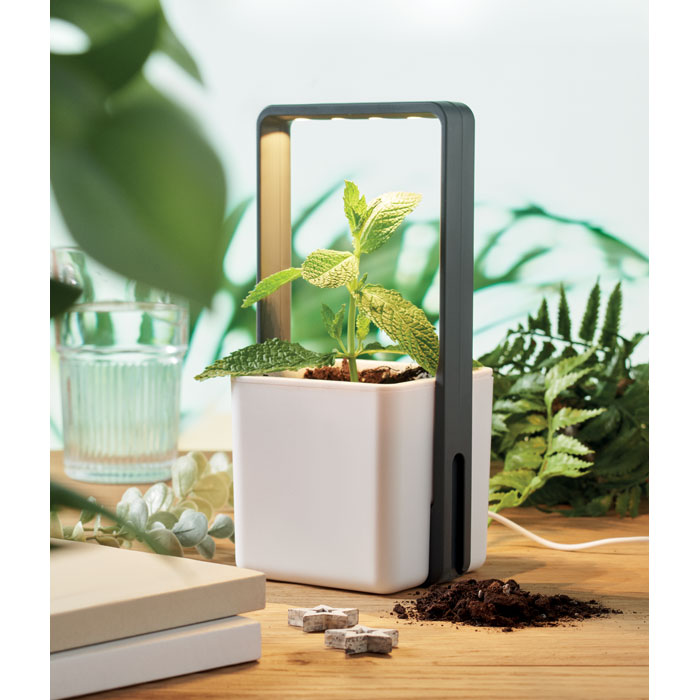 LUSHLET – Innengarten mit LED-Licht