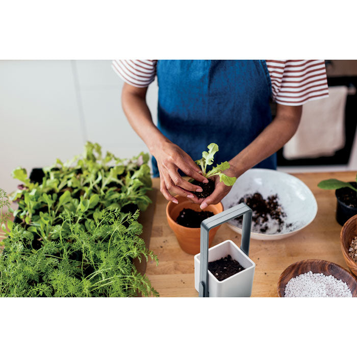 LUSHLET – Innengarten mit LED-Licht