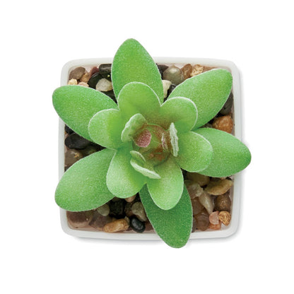 ARTIGRAP - Mini planta artificial