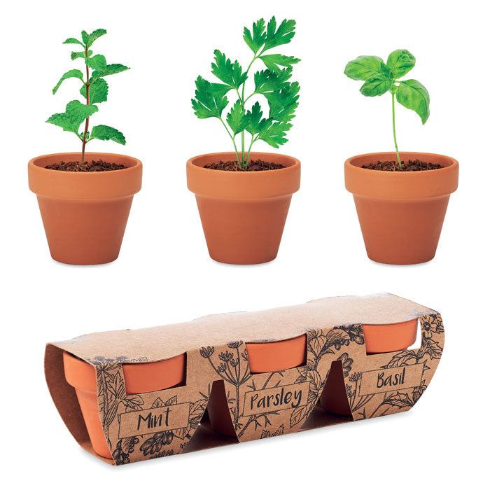 BLUMENTOPF – Terrakotta-Kräutertopf-Set mit 3 Kräutern