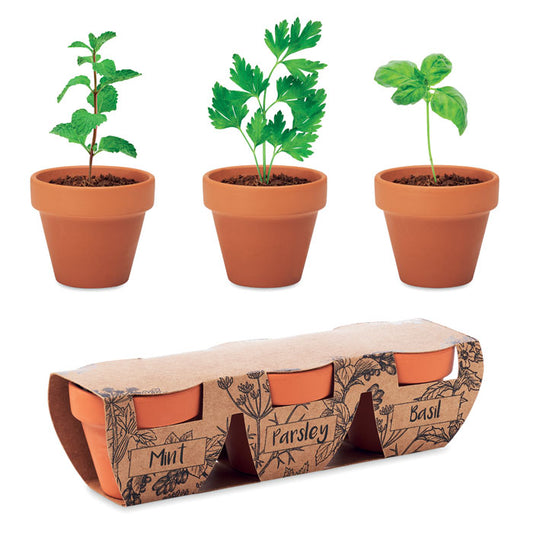 VASO DA FIORI - Set da 3 vasi per erbe aromatiche in terracotta