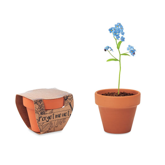 NON TI DIMENTICARE - Vaso in terracotta 'Non ti scordar di me'