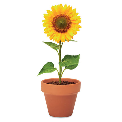 TOURNESOL - Pot en terre cuite 'tournesol'