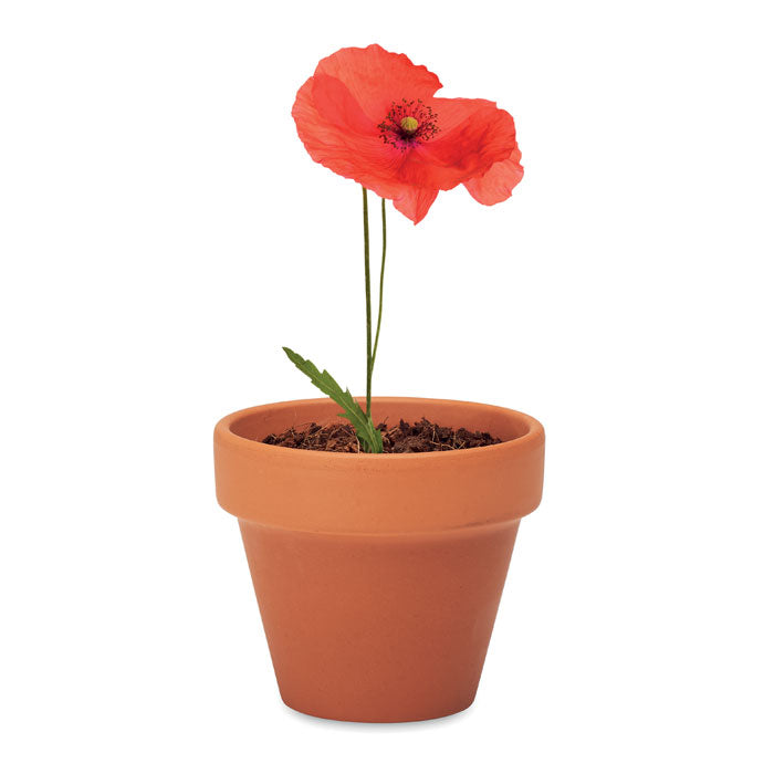 RED POPPY - Terrakotta-Topf 'Mohnblume'