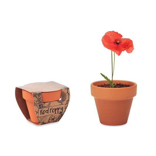 PAPAVERO ROSSO - Vaso in terracotta 'papavero'