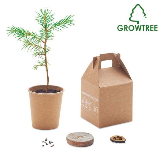 GROWTREE™ - Set di pino