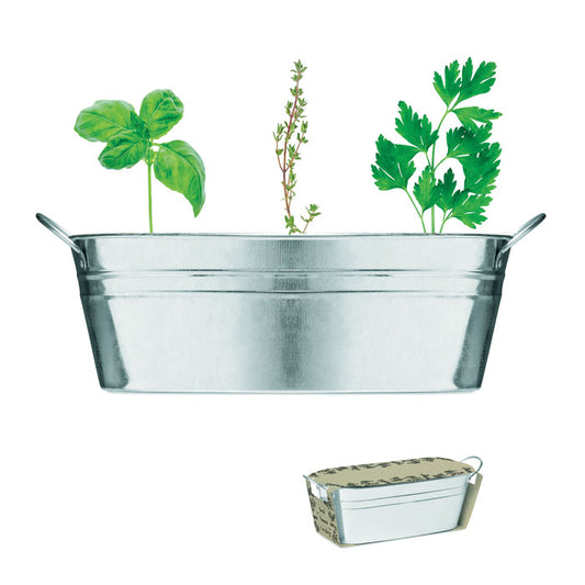 MÉLANGE DE GRAINES - Pot en zinc avec 3 graines d'herbes