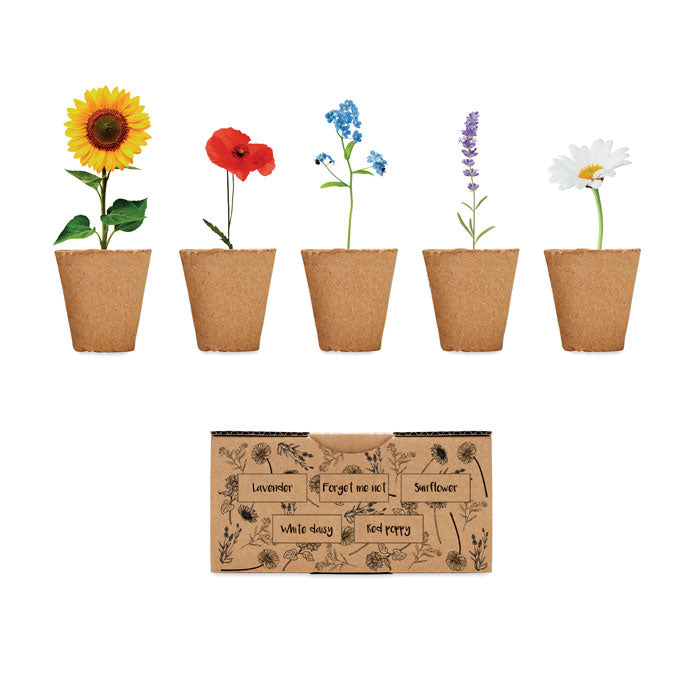 BLUMEN - Anzuchtset
