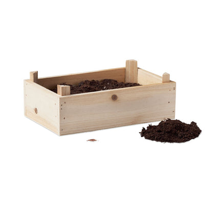 STRAWBERRY - Kit in wooden crate